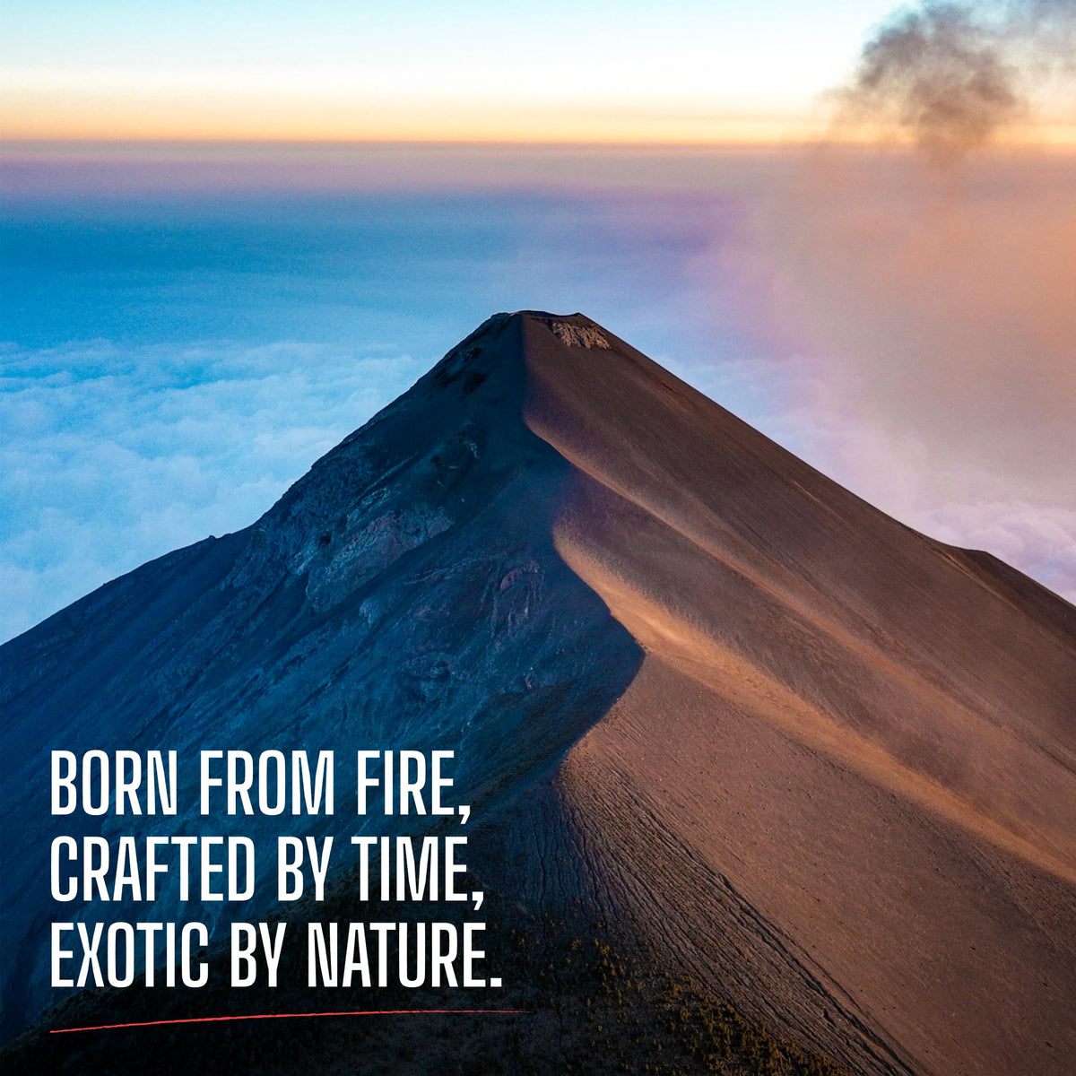 Volcanica Coffee Sumatra Mandheling Dark Roast – Organic, Reserve, Fair Trade, Whole Bean, 16 oz