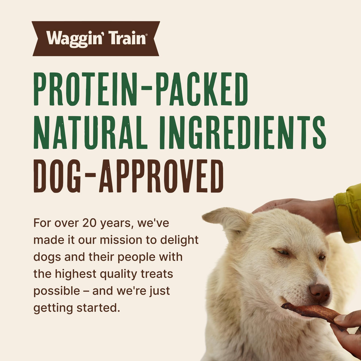 Waggin' Train Duck Jerky Tenders — 100% Real Duck Breast, 3-Ingredient, Grain-Free High-Protein Dog Treat, 36 oz Pouch