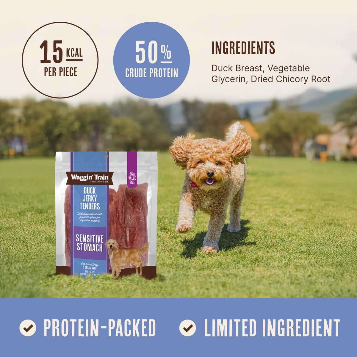 Waggin' Train Duck Jerky Tenders — 100% Real Duck Breast, 3-Ingredient, Grain-Free High-Protein Dog Treat, 36 oz Pouch