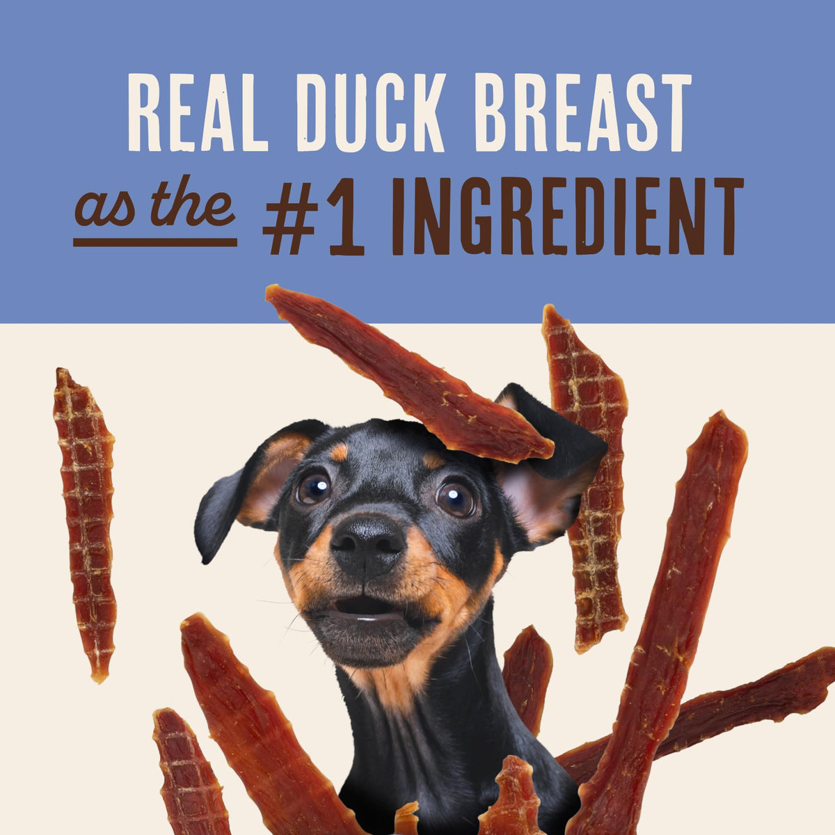 Waggin' Train Duck Jerky Tenders — 100% Real Duck Breast, 3-Ingredient, Grain-Free High-Protein Dog Treat, 36 oz Pouch