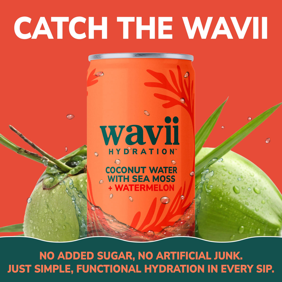 Wavii Coconut Water with Sea Moss + Watermelon | 12 Pack 11 fl oz | Clean Hydration with Electrolytes