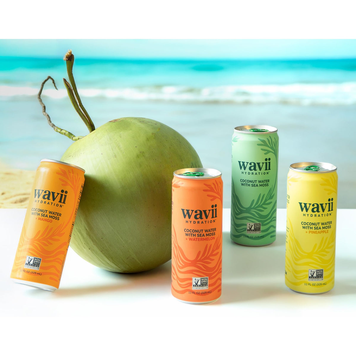 Wavii Coconut Water with Sea Moss + Mango, 12 Pack – Clean Hydration with Electrolytes & Ocean-Derived Minerals