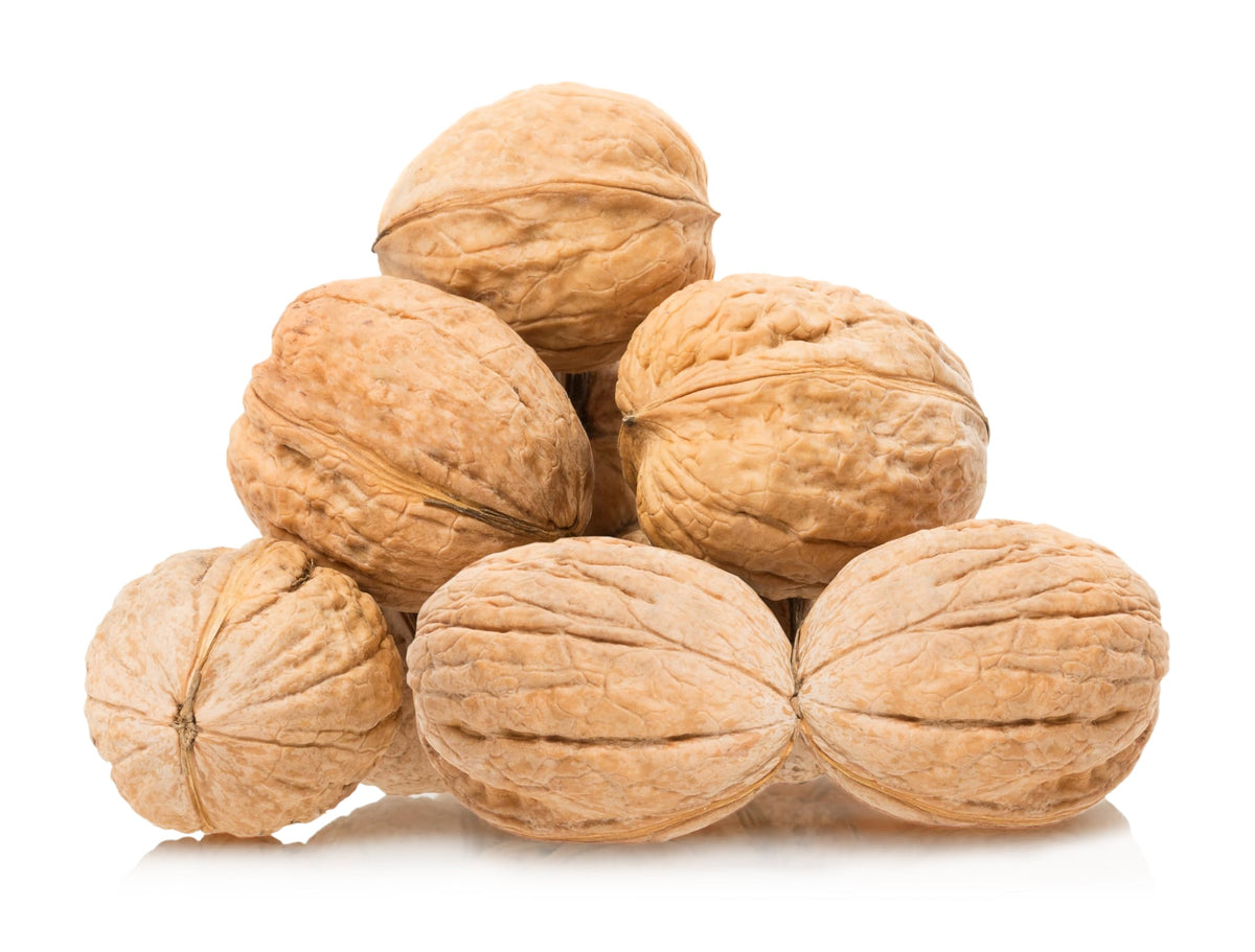 Raw California Walnuts In Shell – 4 lbs | We Got Nuts – Premium Unsalted & Oil-Free