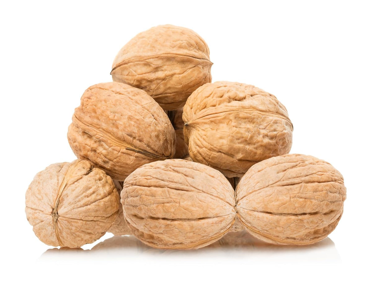 We Got Nuts: Raw California Walnuts In Shell, 5 lbs – Premium Whole & Unsalted