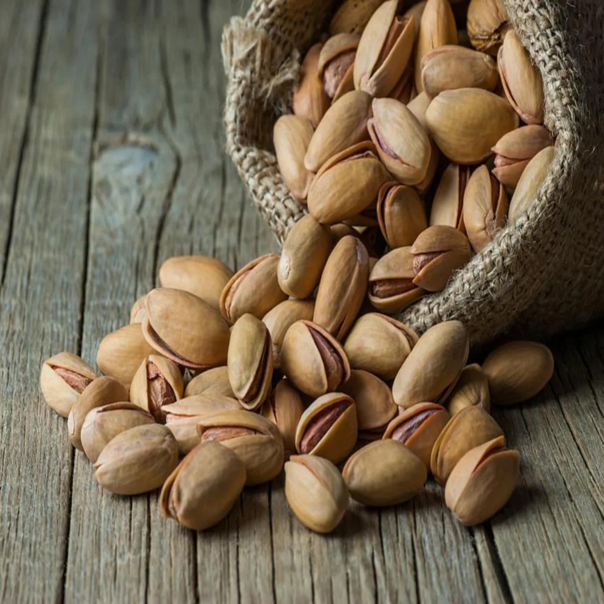 We Got Nuts Turkish Antep Pistachios 5lb – Premium Kosher Roasted In-Shell