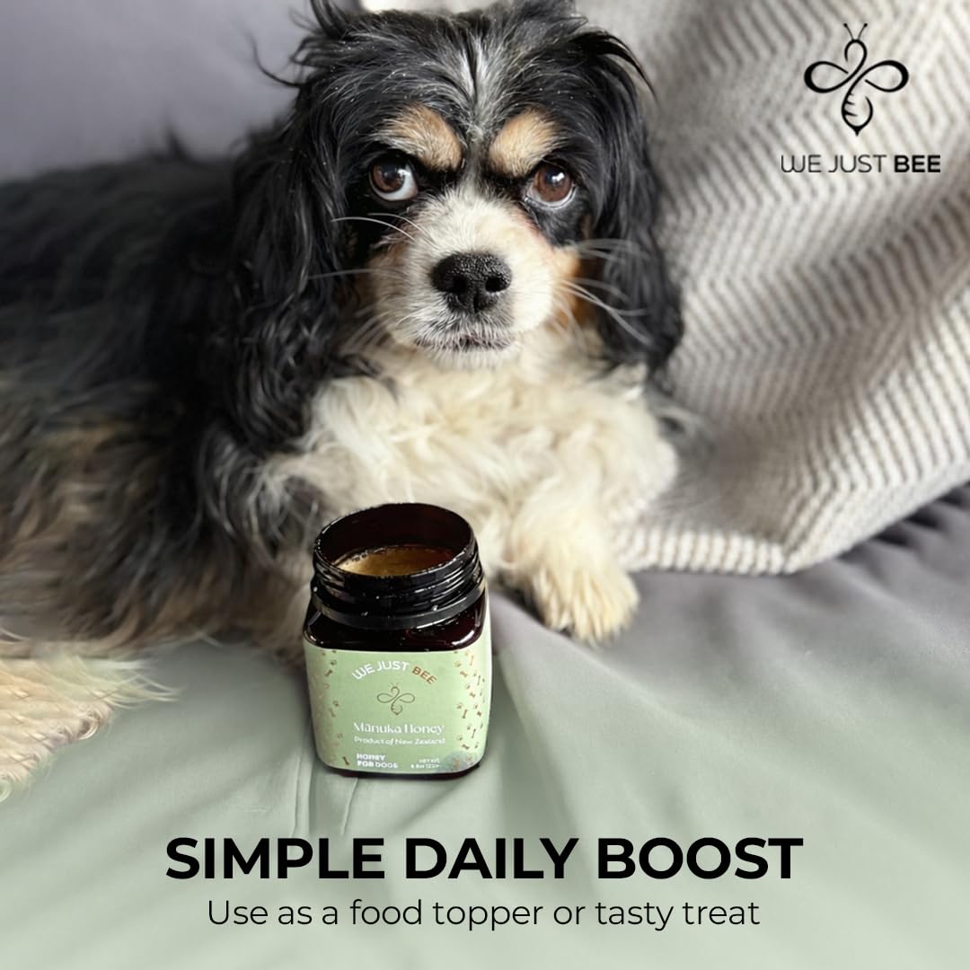 We Just Bee Manuka Honey for Dogs – MGO 400+ (250g) | Premium NZ Dog Topper & Treat