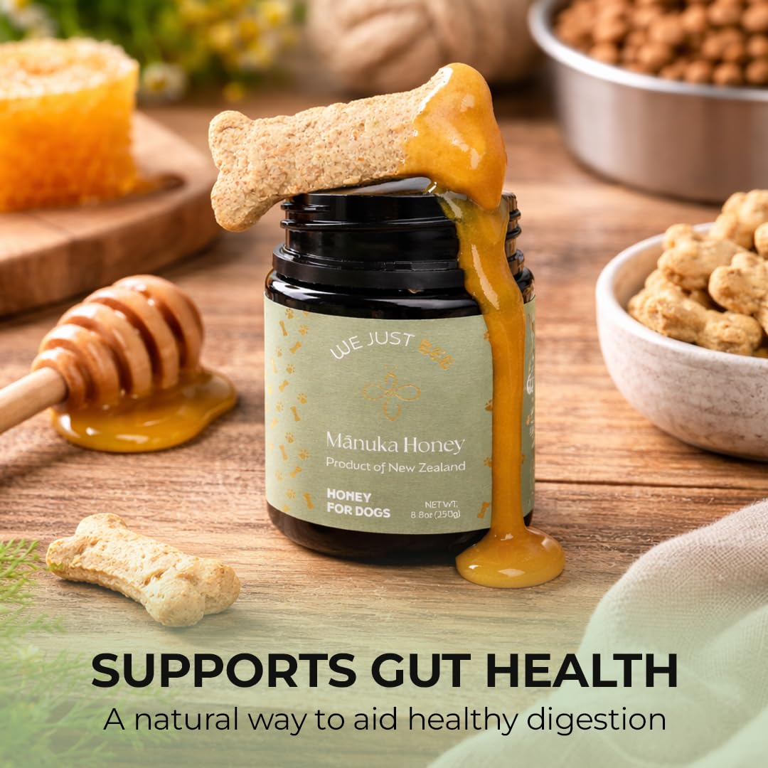 We Just Bee Manuka Honey for Dogs – MGO 400+ (250g) | Premium NZ Dog Topper & Treat