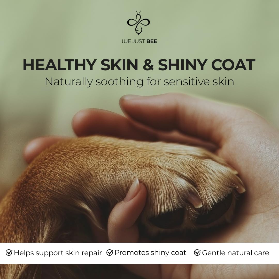 We Just Bee Manuka Honey for Dogs – MGO 400+ (250g) | Premium NZ Dog Topper & Treat