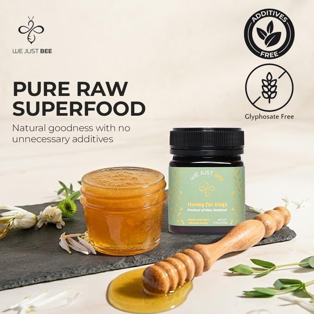 We Just Bee Manuka Honey for Dogs – MGO 400+ (250g) | Premium NZ Dog Topper & Treat
