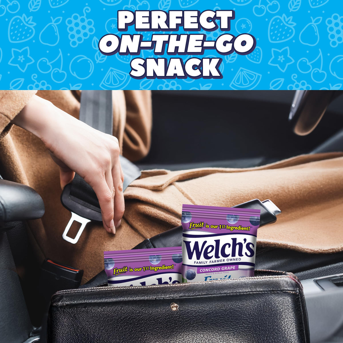 Welch's Concord Grape Fruit Snacks, Gluten Free, 5oz Bags (12-Pack)