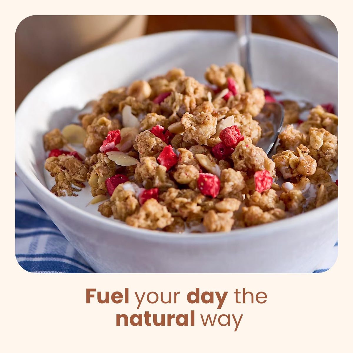 Wellsley Farms Swiss Granola | Real Fruits, Almonds & Hazelnuts | 2 lb Pack