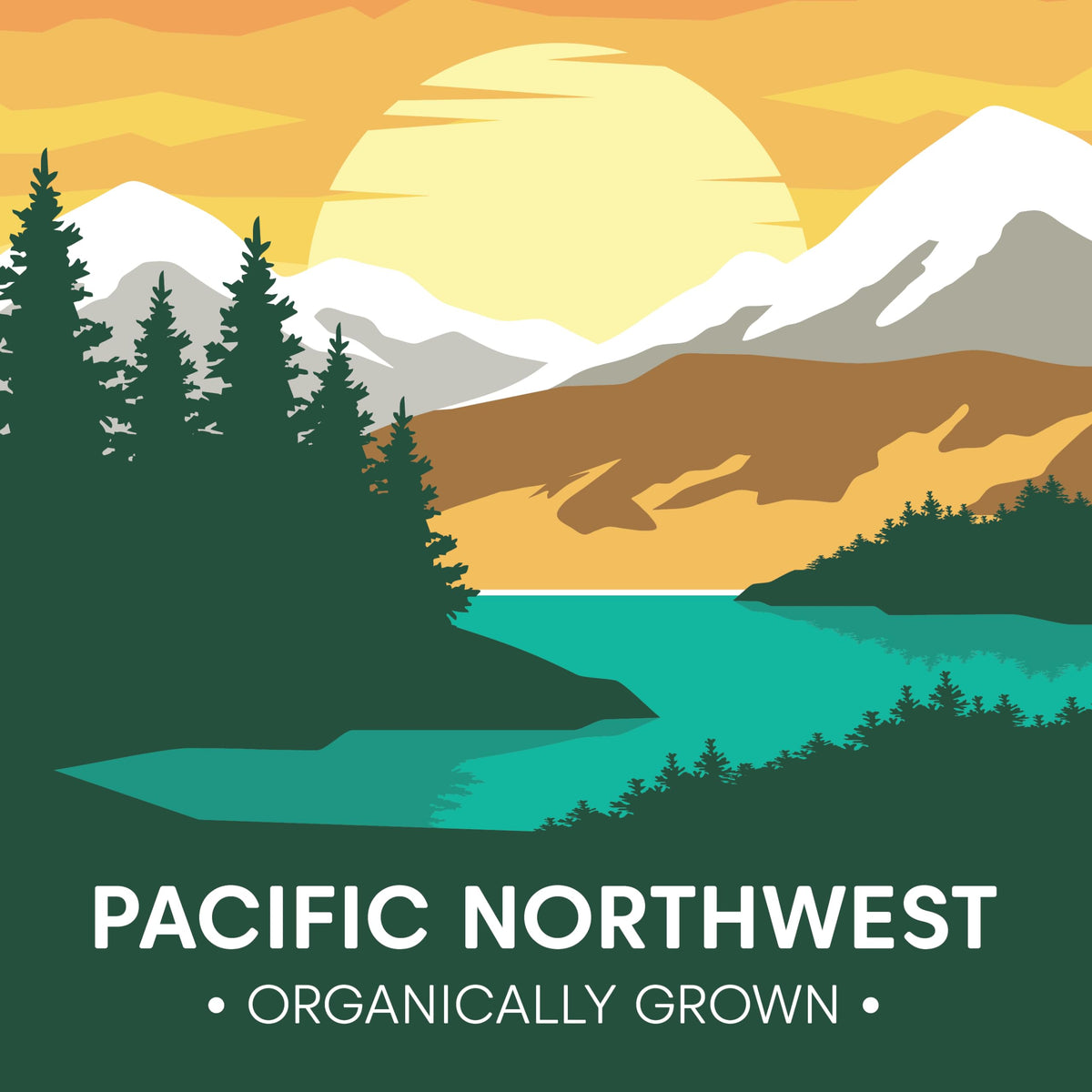 Wilderness Poets Organic Hazelnuts — Raw, Whole, Pacific Northwest (32 oz)