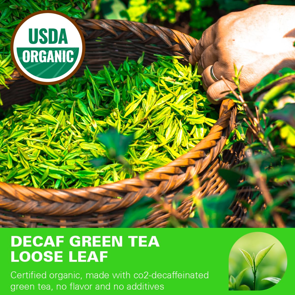 WT WEETEE Organic Decaf Green Tea Loose Leaf – CO2 Decaffeinated, 228g / 8oz, 110+ Cups