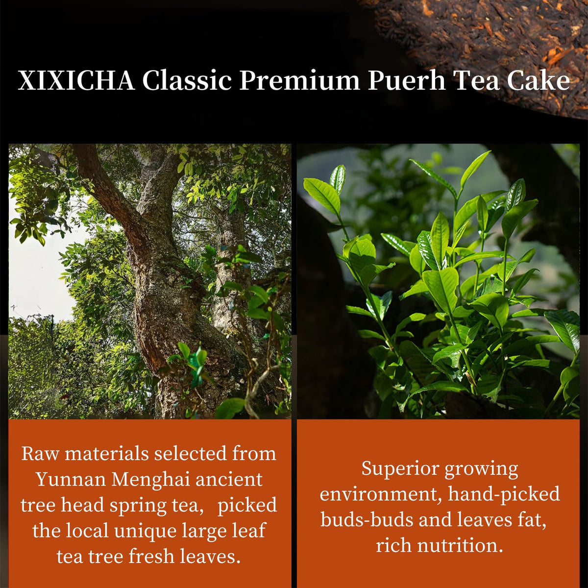 XIXICHA Classic Premium Pu-erh Tea Cake – Ancient Trees, Aged Ripe Pu-erh, 357g