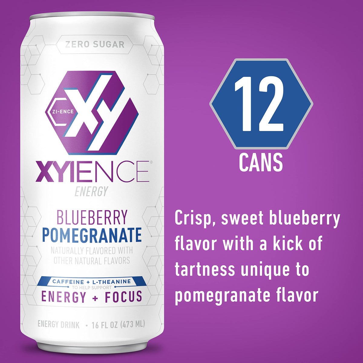 XYIENCE Blueberry Pomegranate Energy Drink – 16 oz Can (Pack of 12) | Zero Sugar, Low Calorie, Natural Flavors