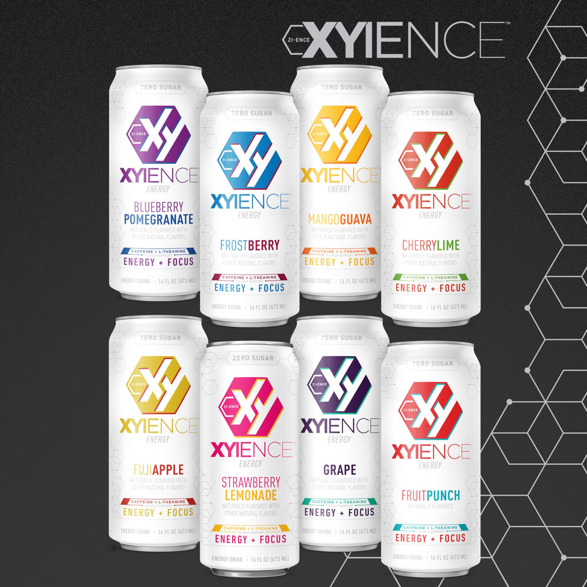 XYIENCE Blueberry Pomegranate Energy Drink – 16 oz Can (Pack of 12) | Zero Sugar, Low Calorie, Natural Flavors
