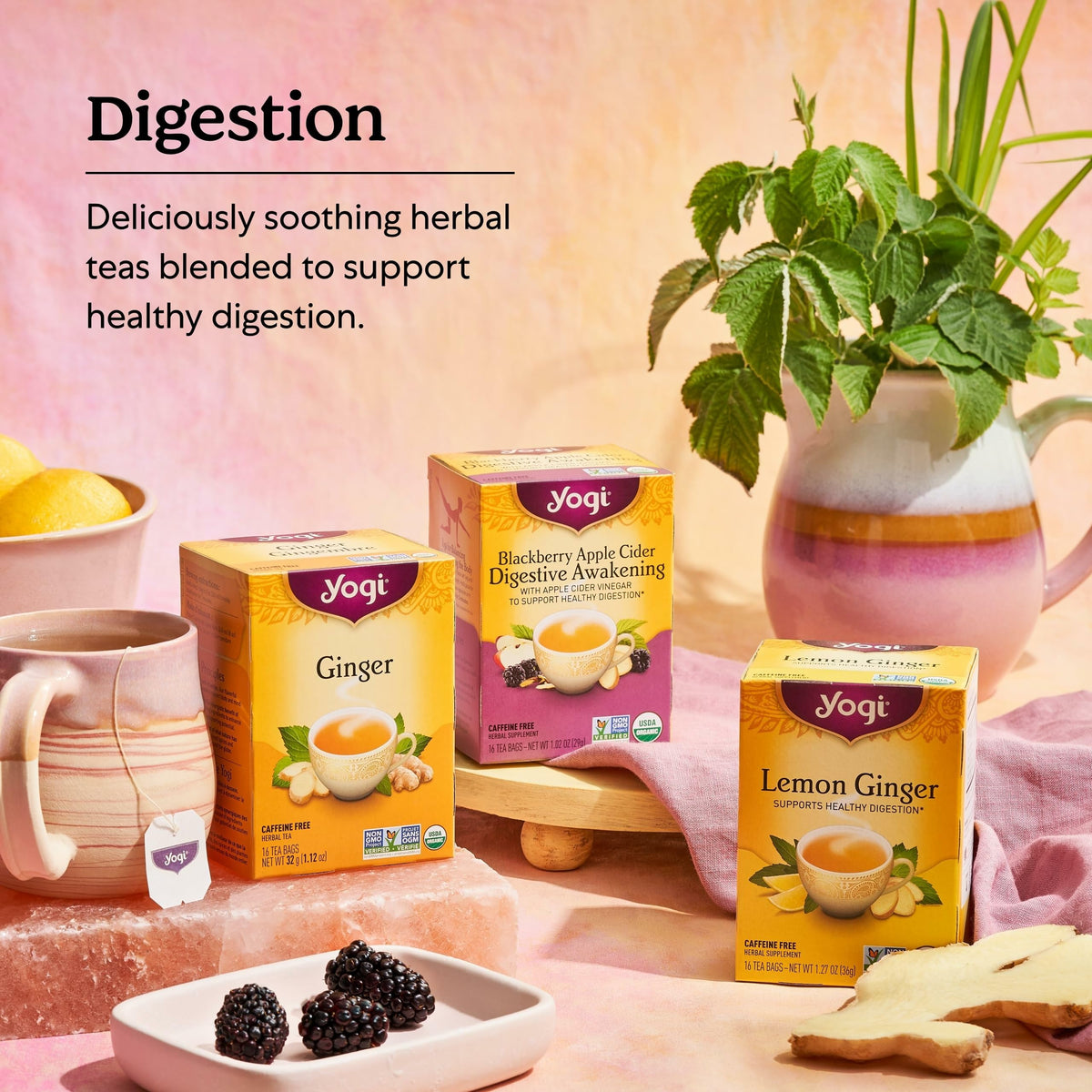 Yogi Ginger Tea (6 Pack) – Caffeine-Free Herbal Blend for Digestive Comfort (96 Bags)