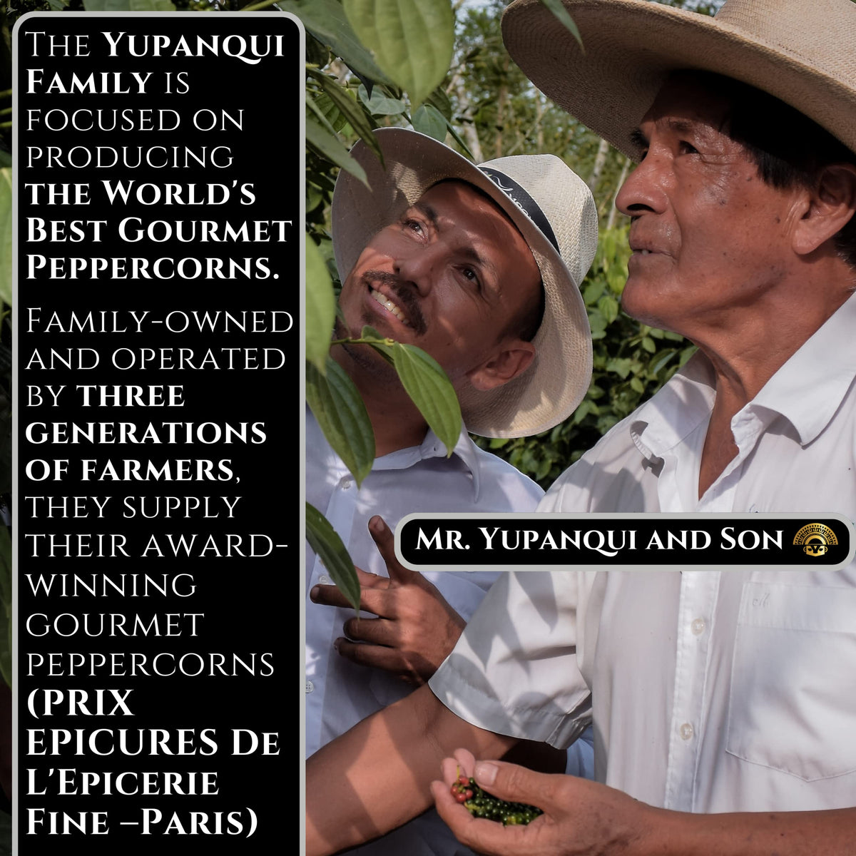 Yupanqui Organic Black Peppercorns for Grinder Refill – 17.6oz Whole Peppercorns