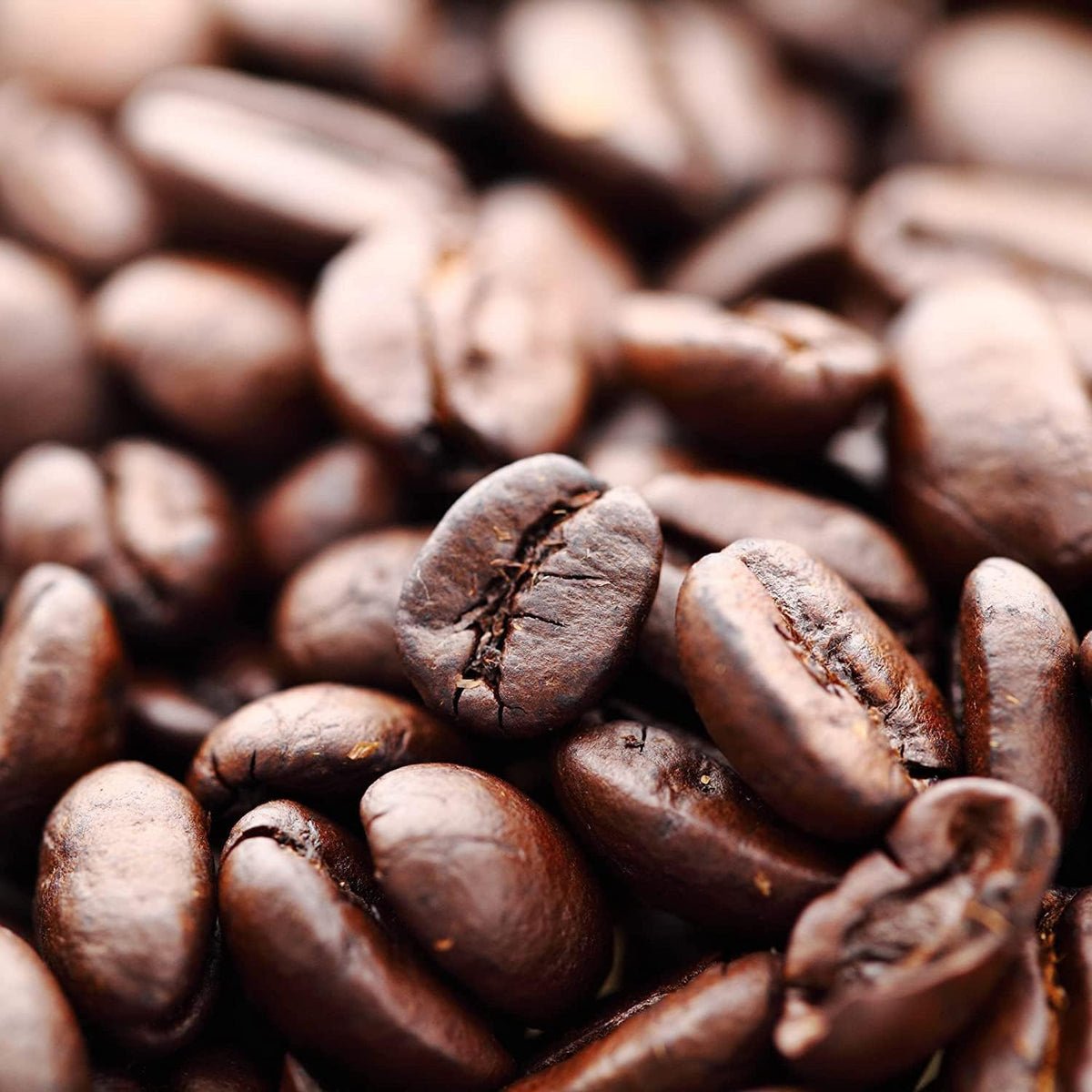 Zavida Premium Hazelnut Vanilla Whole Bean Coffee – 2 lb