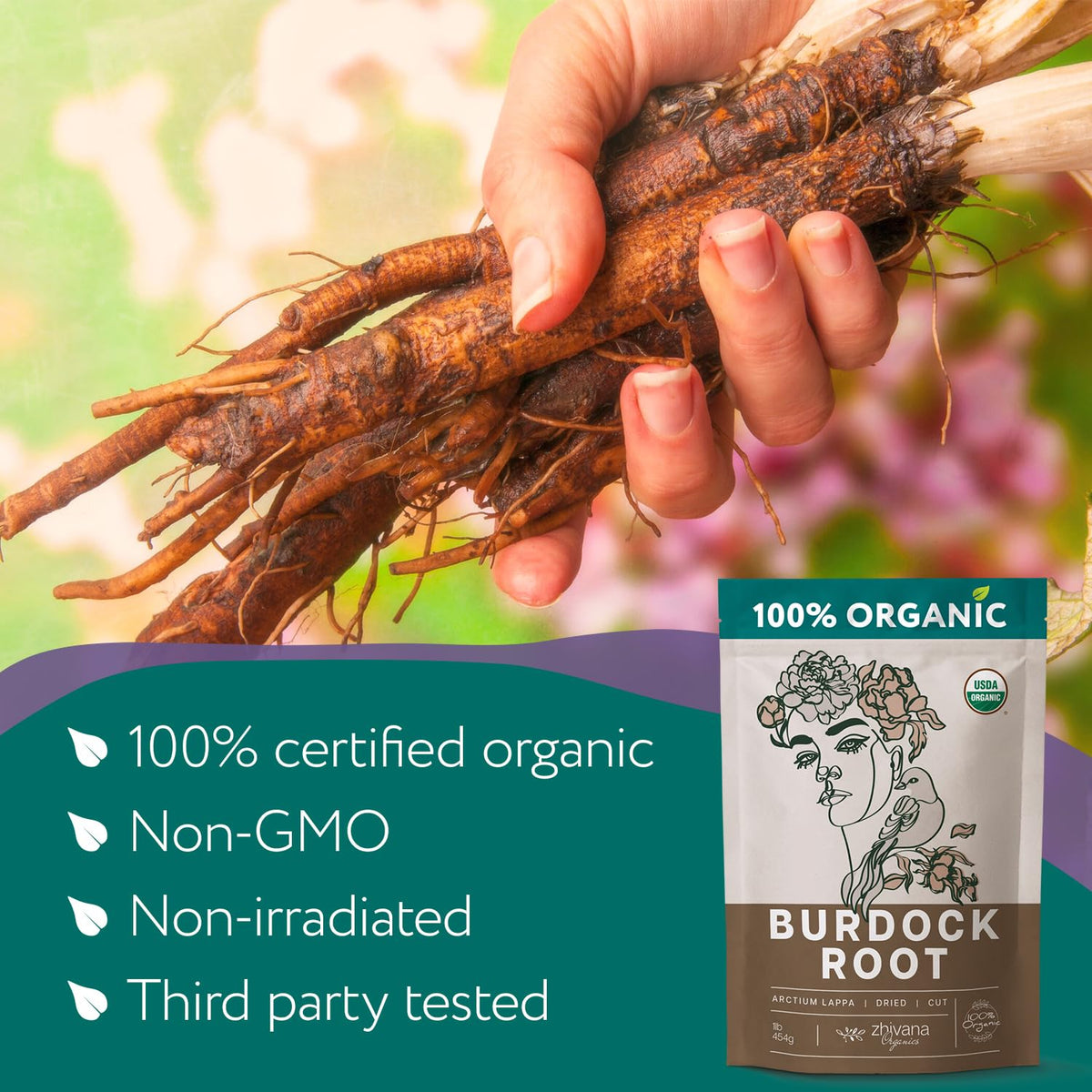Zhivana Organics Premium Burdock Root Tea (16 oz) – Organic Burdock Root Tea, Loose Leaf