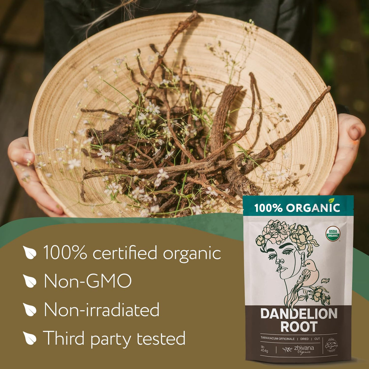 Zhivana Organics Dandelion Root Tea Loose Leaf – Organic Dandelion Root Herb, 16 oz