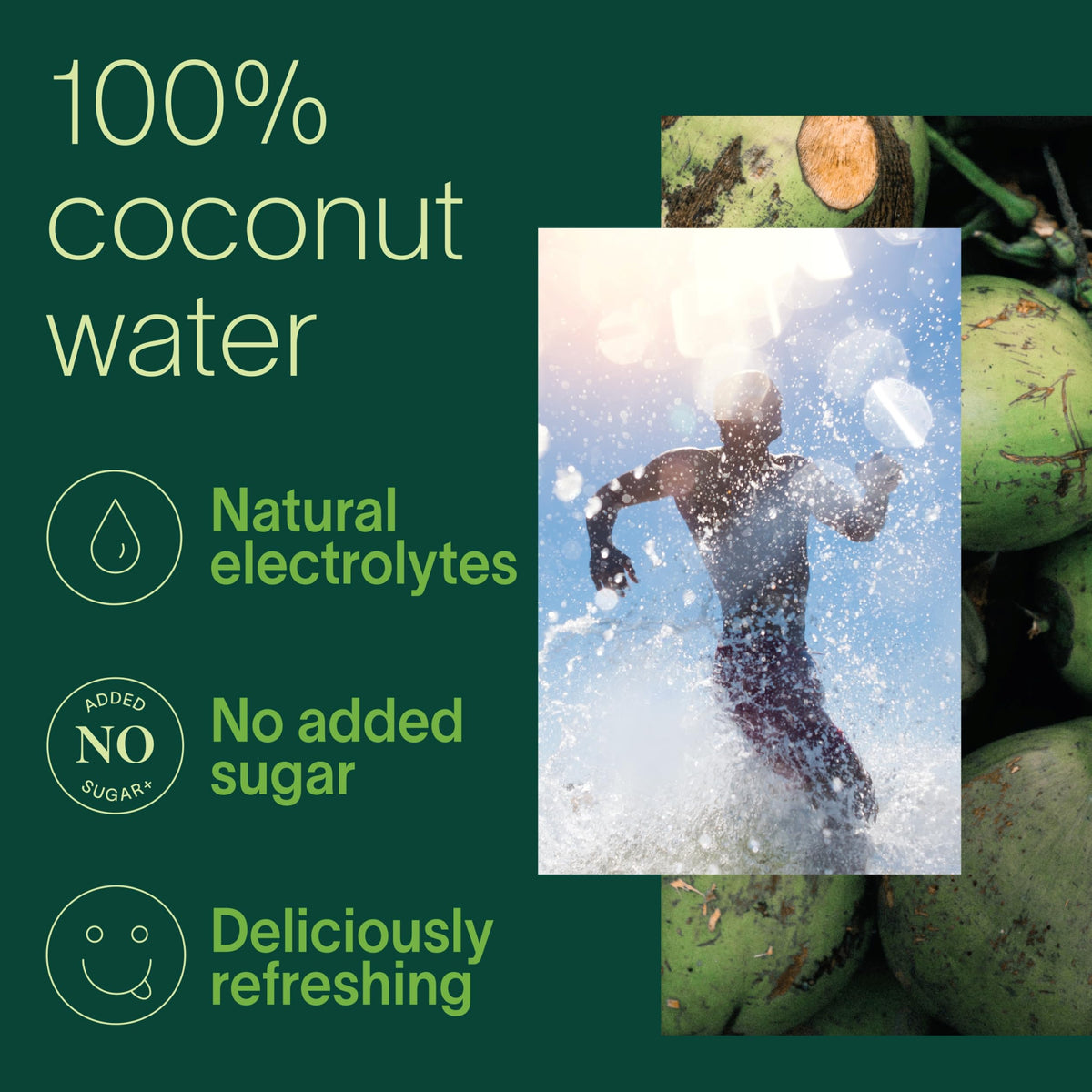 ZICO 100% Coconut Water — No Added Sugar, Natural Electrolyte Hydration, 16.9oz Pack of 12